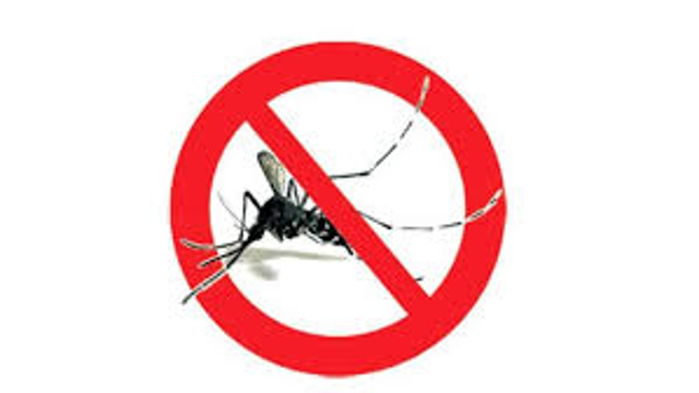Ordinanza prevenzione e controllo malattie trasmesse da insetti - zanzare
